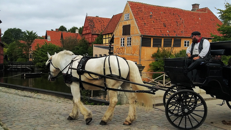 Solo travel in Denmark could include riding in a horse-drawn wagon in Aarhus.