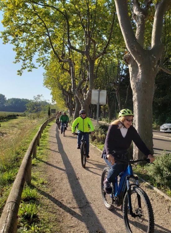 Cycling near Avignon