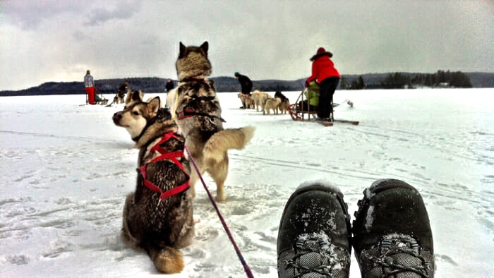 dog sledding