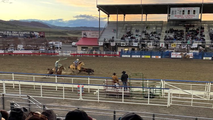 the cody nite rodeo on our wyoming and south dakota road trip