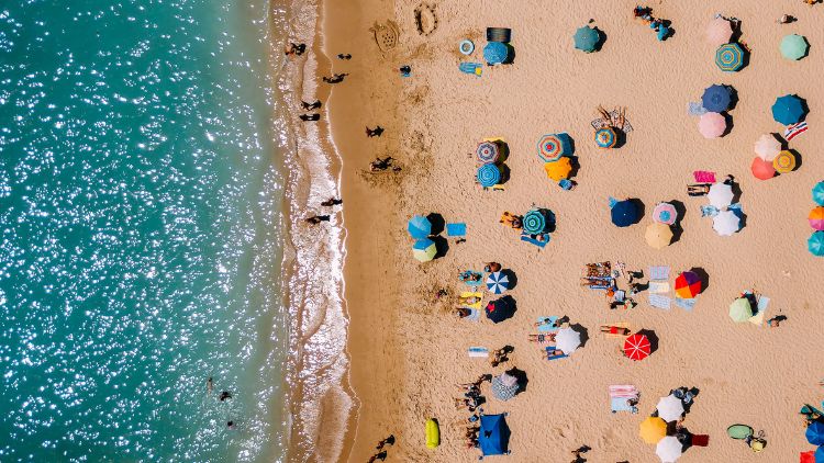 people at the beach in the water