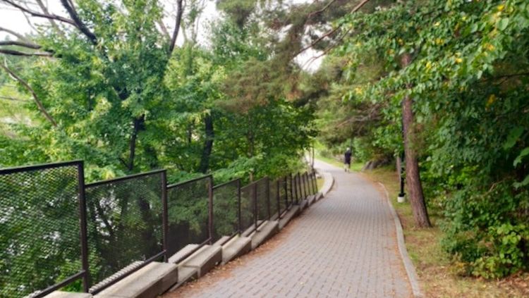 another of the sudbury attractions worth experiencing is the walk along Lake Ramsey