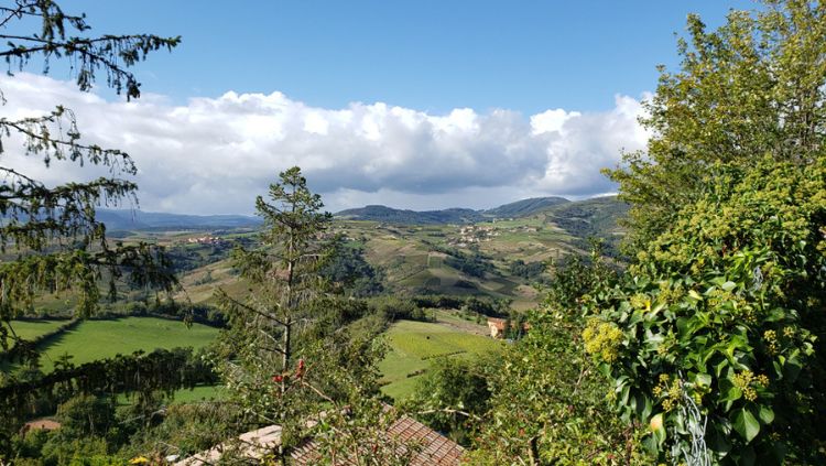 Domaine Paire Beaujolais