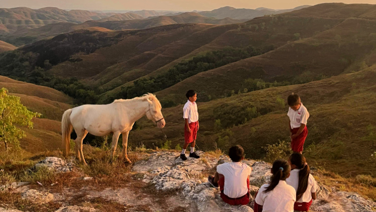 children and a horse atop Wairinding Hill