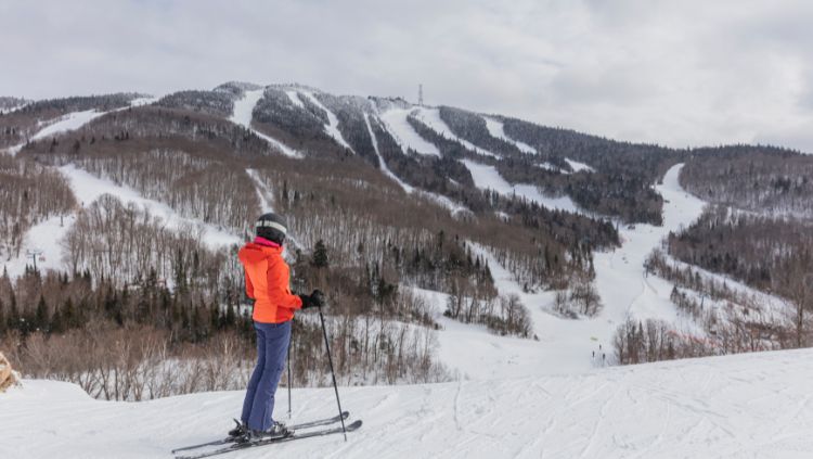 image, skier, winter sports solo