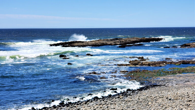 rocky shore of florence, oregon