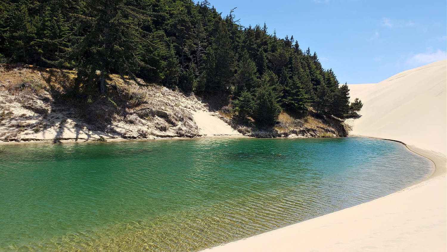 Oregon Dunes National Recreation Area