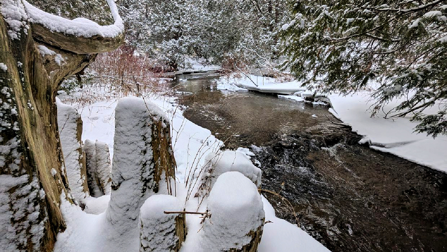 What Happens on a Silent Retreat Can Change Your Life