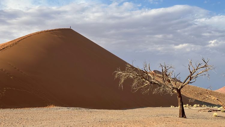 image, dune 45, namibia