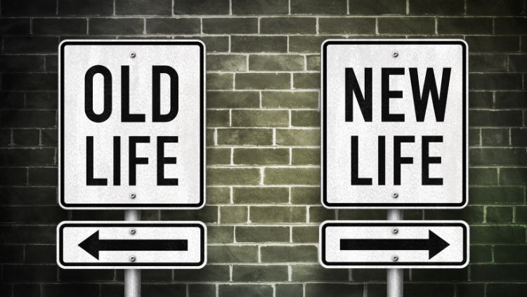What Travel Transitions Teach Us About Life Transitions