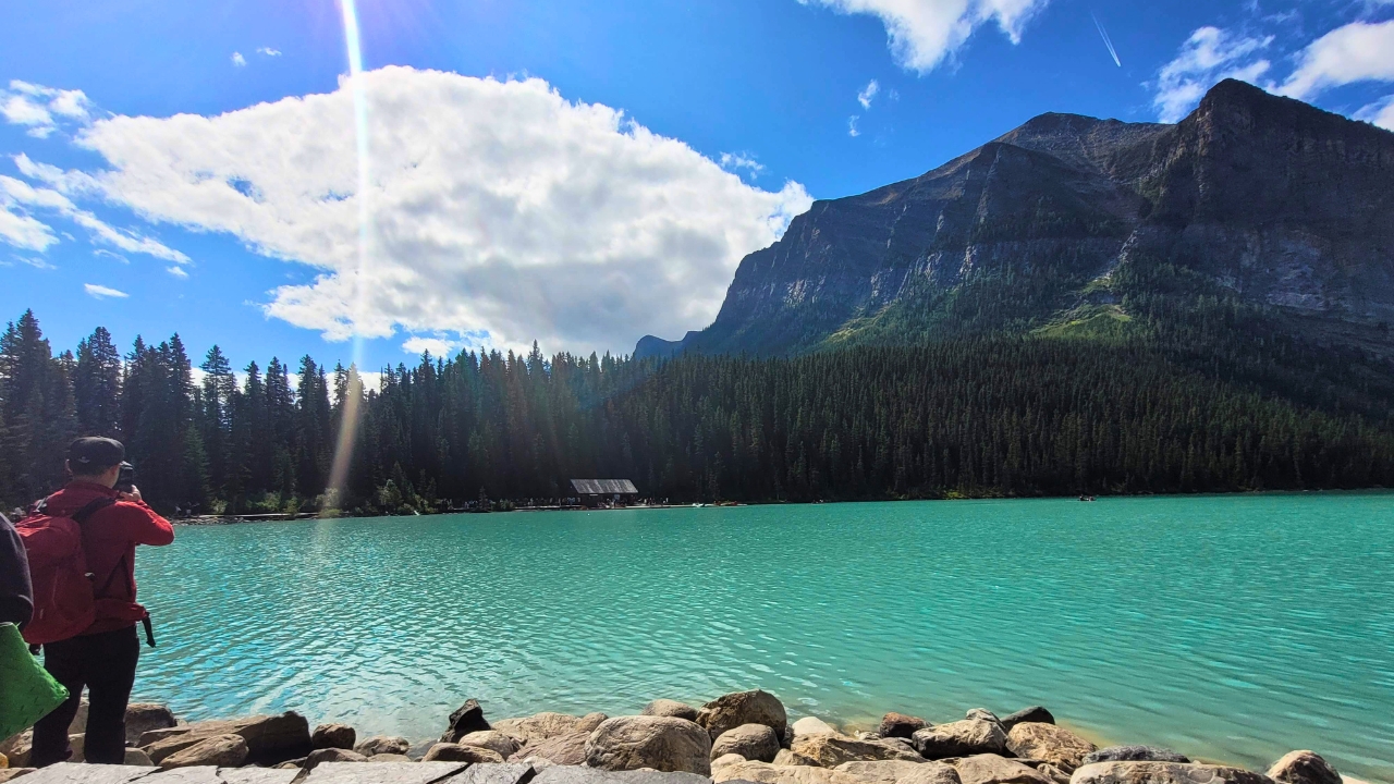 How to Travel as a House Sitter and See the World on a Budget